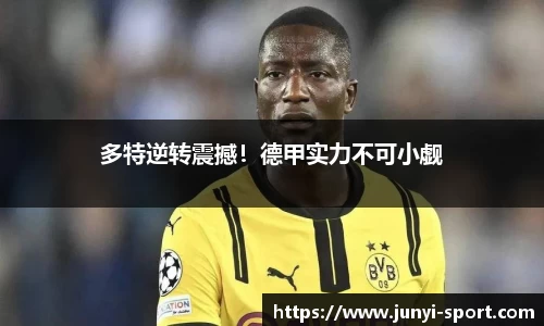 威廉希尔williamhill官网版